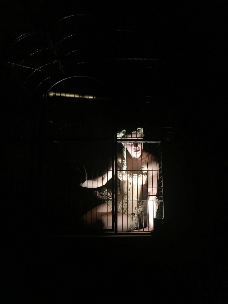 Cage III New York